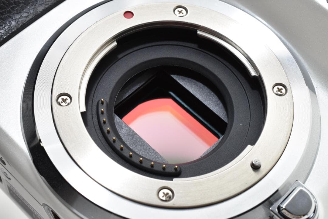 美品・S数1463回 Panasonic LUMIX DMC-G5 ボディ