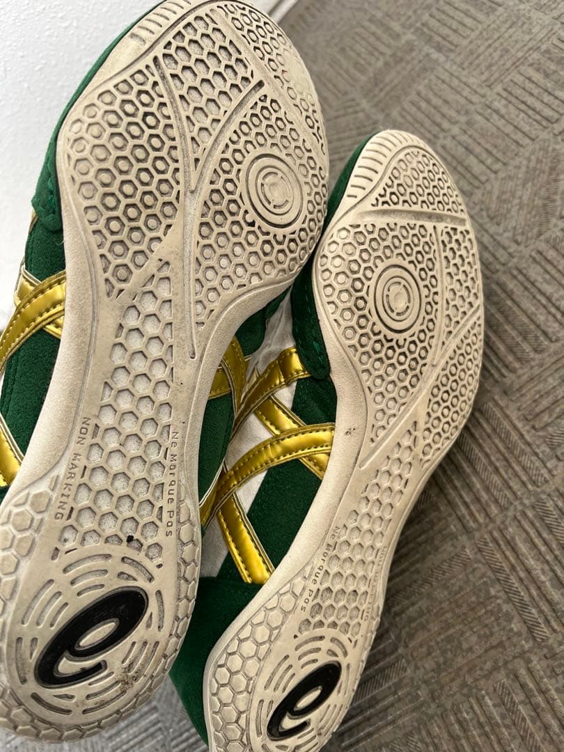 ASICS レスリングシューズ 26.0（ボクシング対応可）