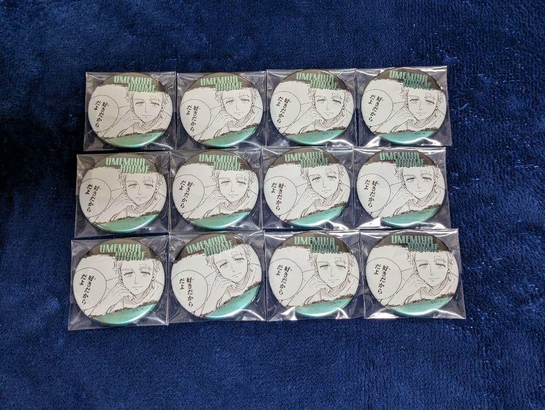 WIND BREAKER 梅宮 缶バッジ