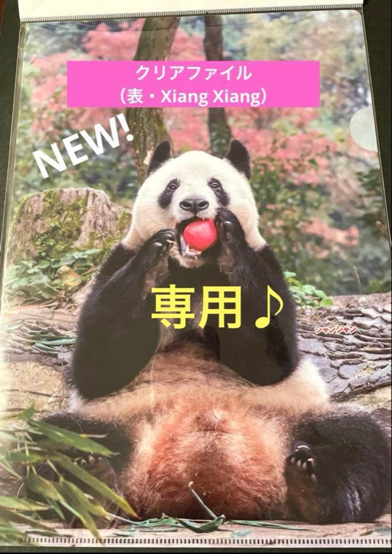 専用　シャンシャン