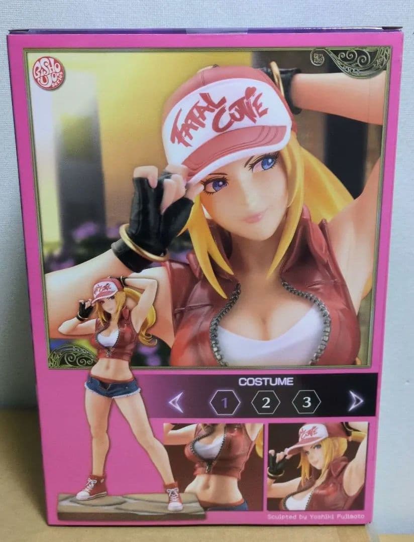 SNKヒロインズ Tag Team Frenzy テリー・ボガード 1/7