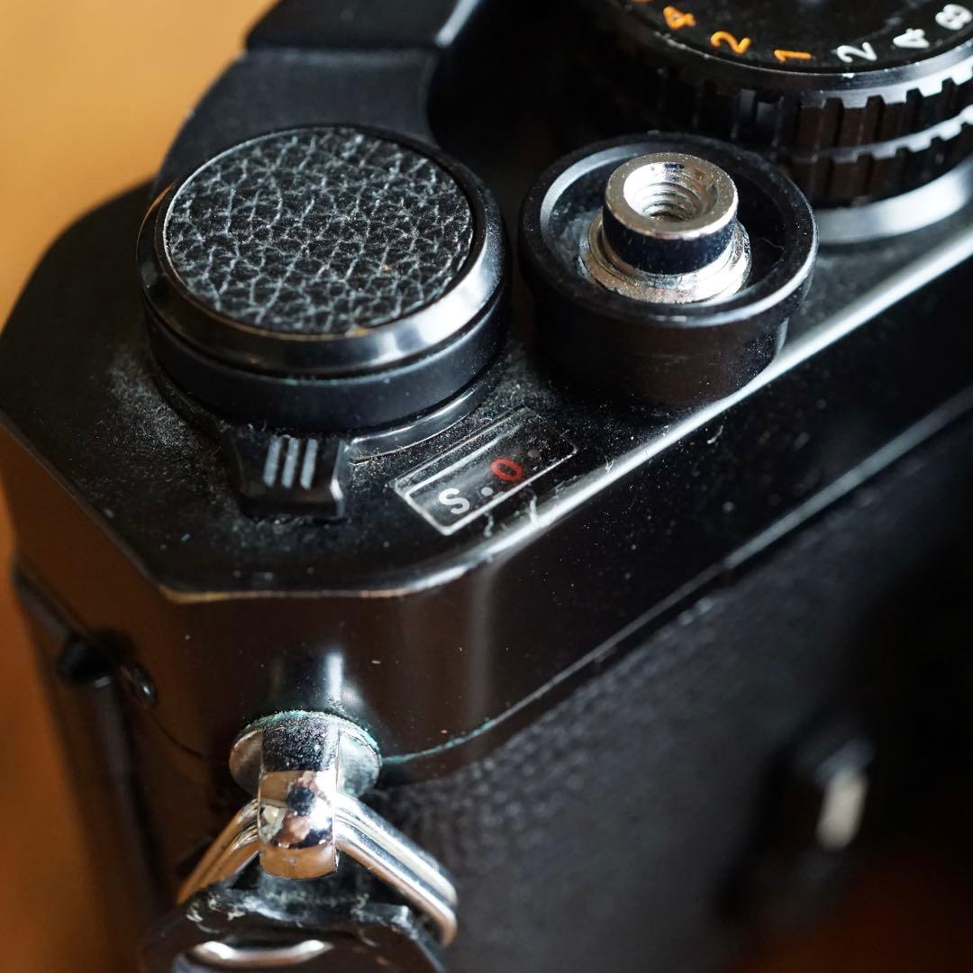 フィルムカメラ Nikon FE / NIKKOR 50mm 1:1.4