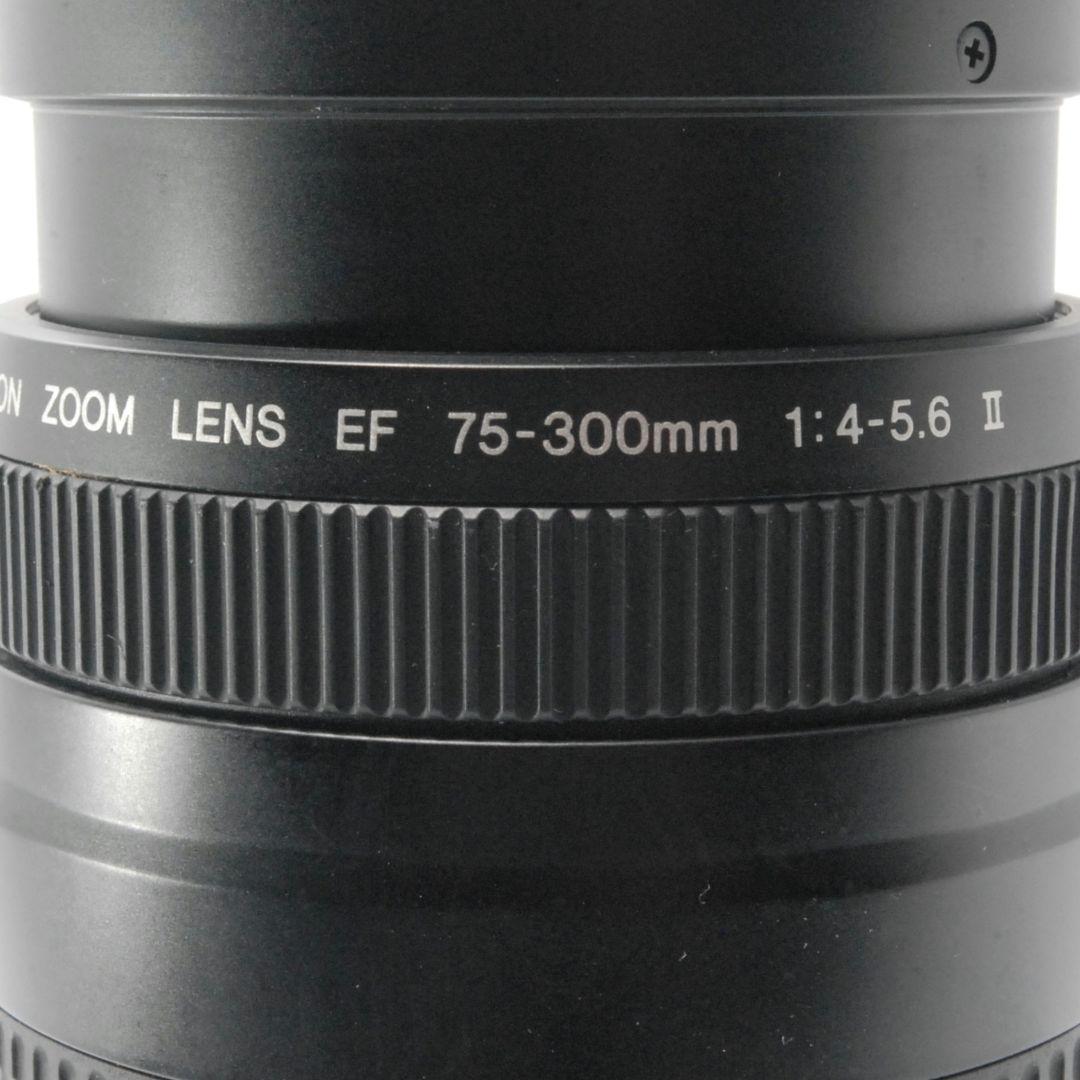 キャノン Canon EF 75-300mm 望遠レンズ 距離を超えて想いを掴む