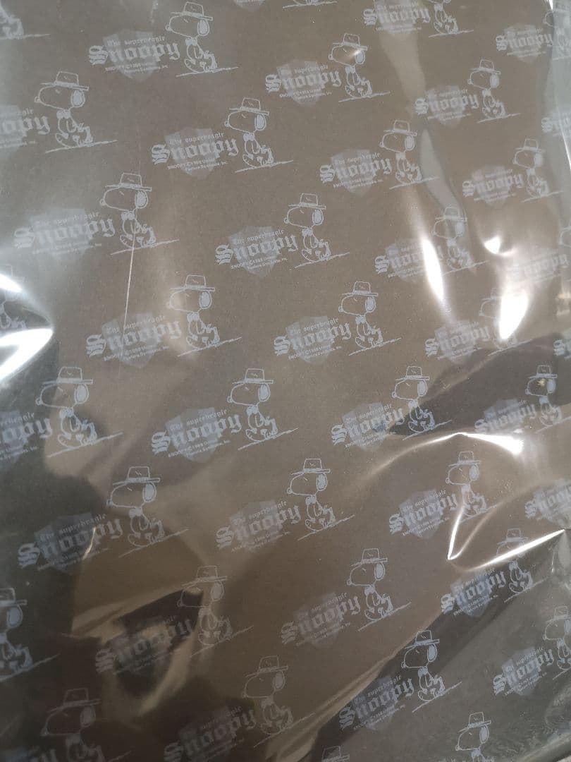 当時物　スヌーピー　バインダーノート　リフィル付き