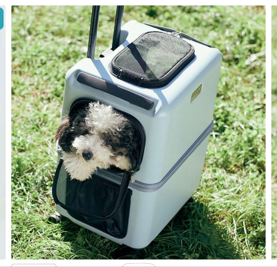 PET CARRY iCO Mサイズ 中型犬用キャリー