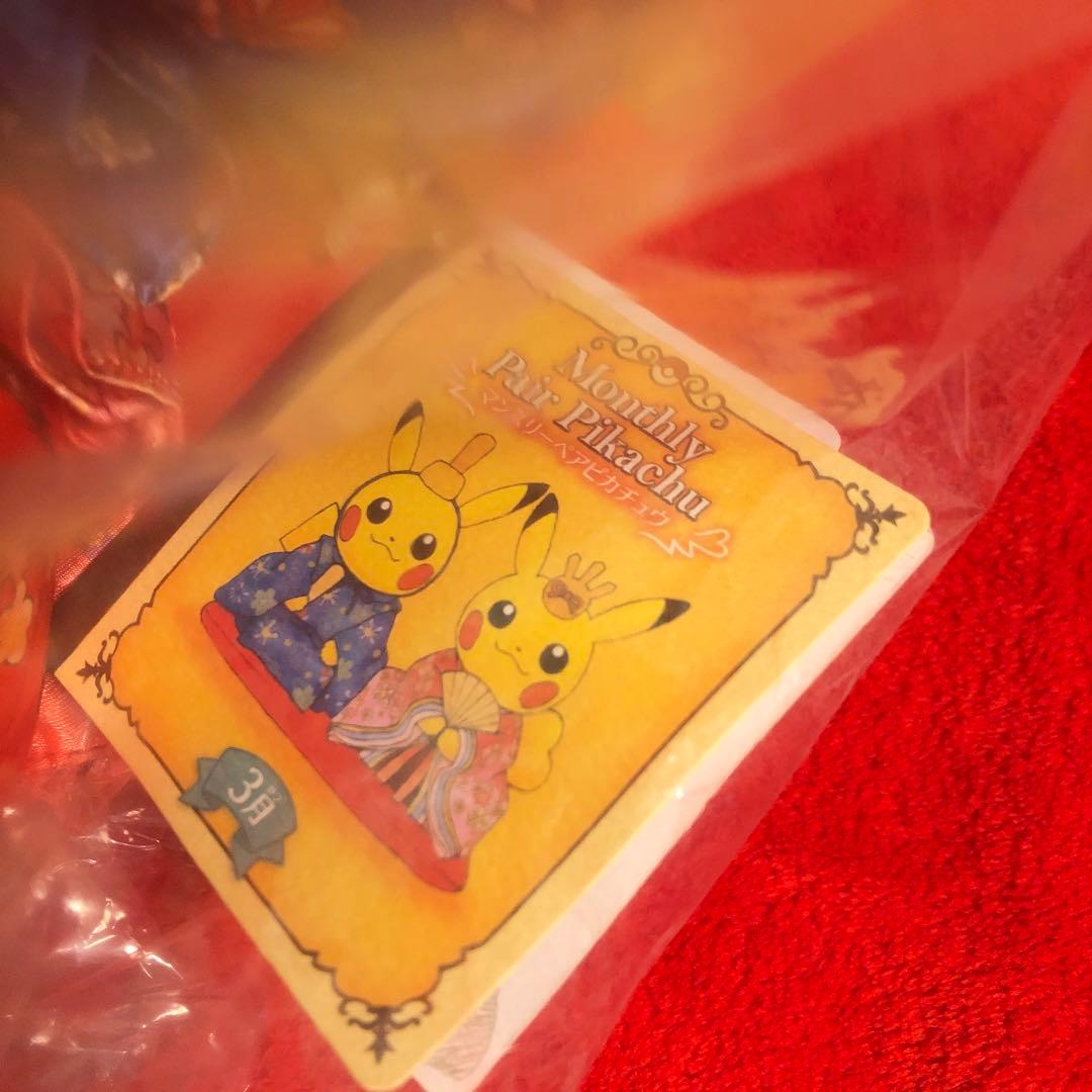 ポケモンセンター　マンスリーペアピカチュウ　3月