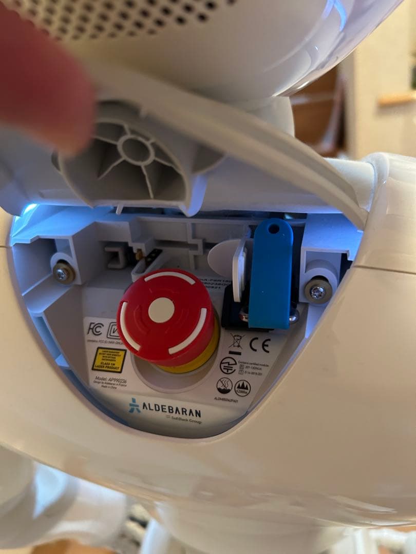 ペッパー　ソフトバンク