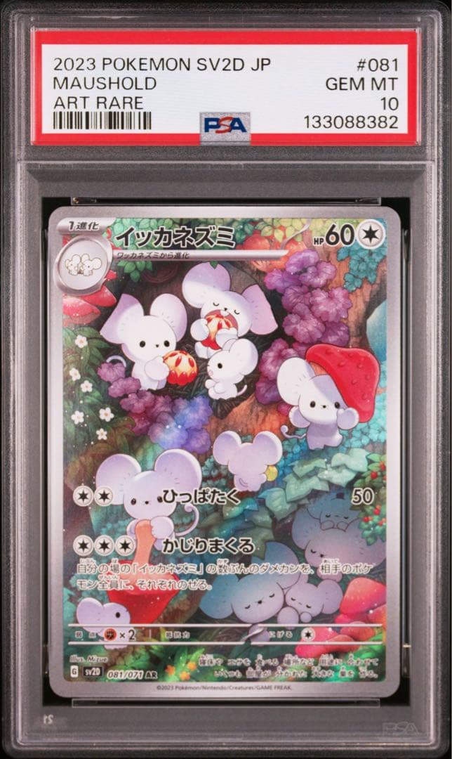 【PSA10】イッカネズミ/AR/SV2D MAUSHOLD 081/071
