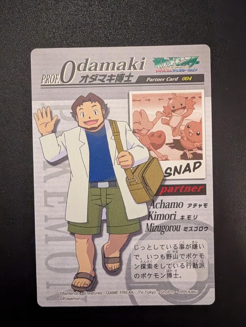 THE POKEMON WEEKLY Summer 1・2