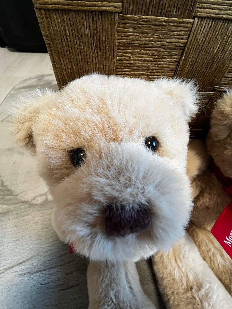 ベンツ テディベア 6体