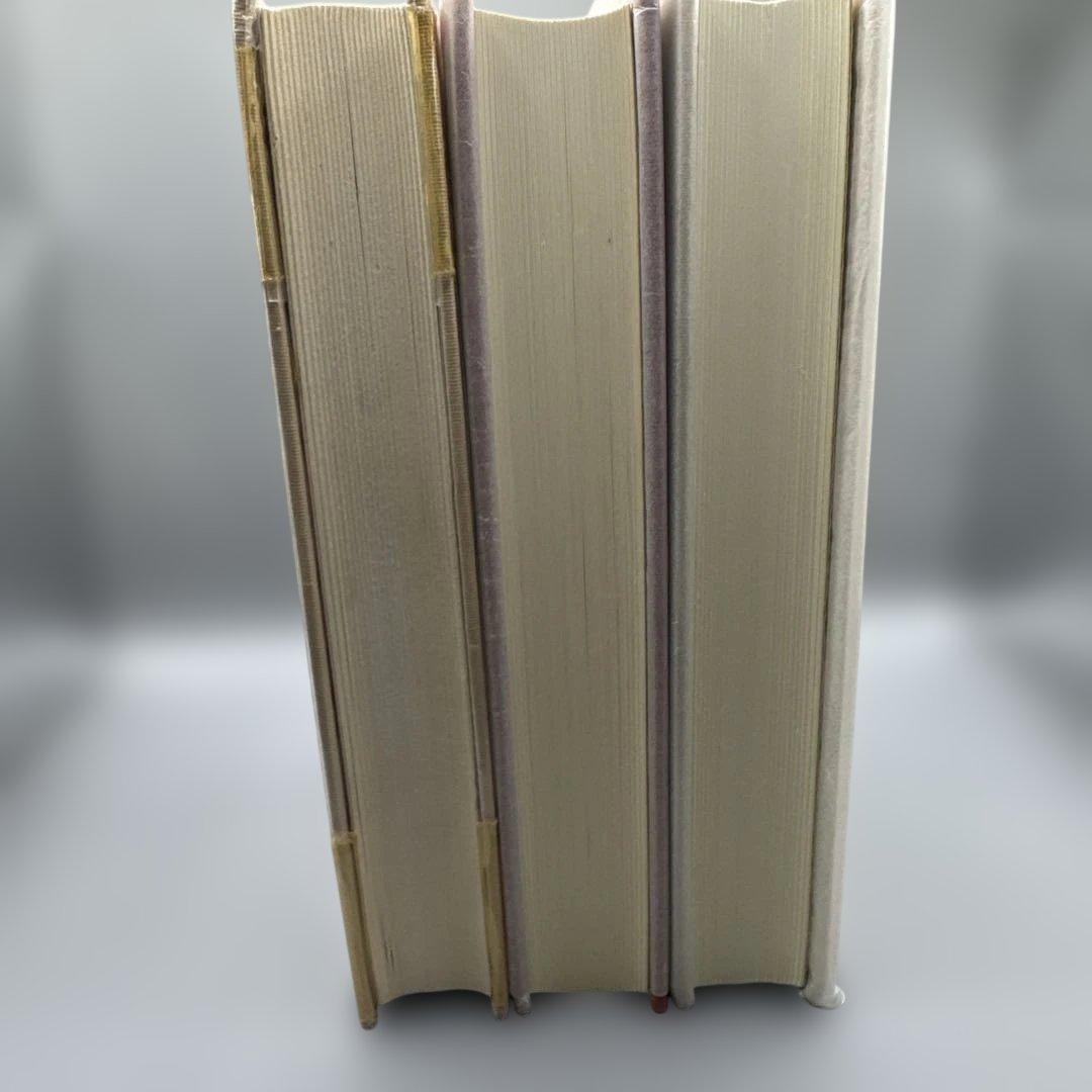 M1359 心に成功の炎を 盛大な人生 成功の実現 中村天風 3冊 セット