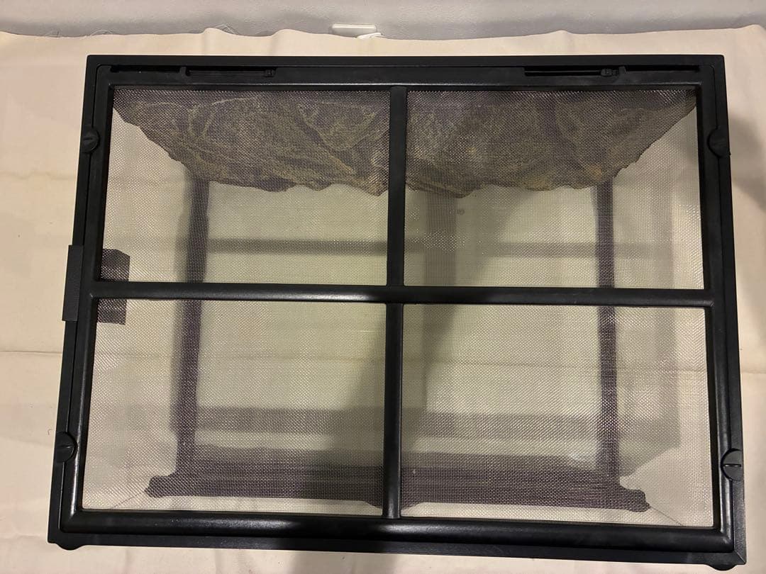 エキゾテラ グラステラリウム 6030 ガラスケージ GEX 爬虫類