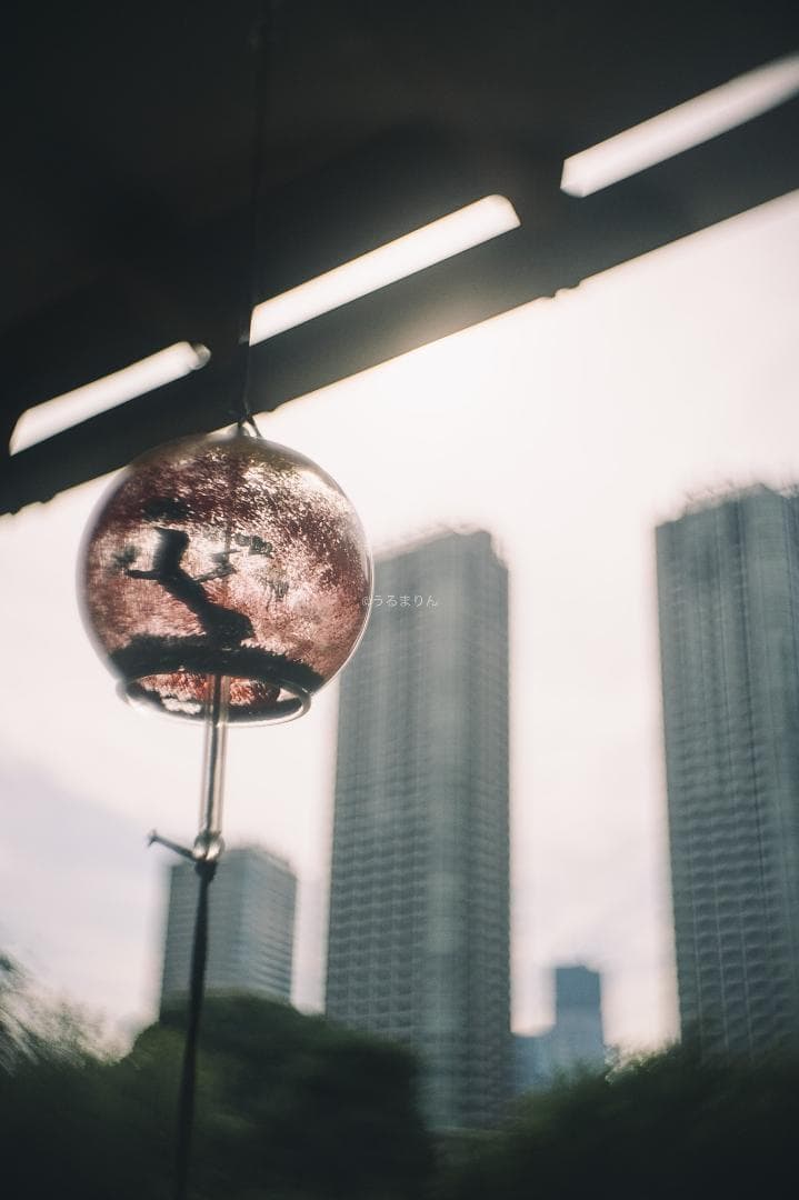 ズノーが1万円以下！Eマウント解禁！ZUNOW Cine 14mm F1.9