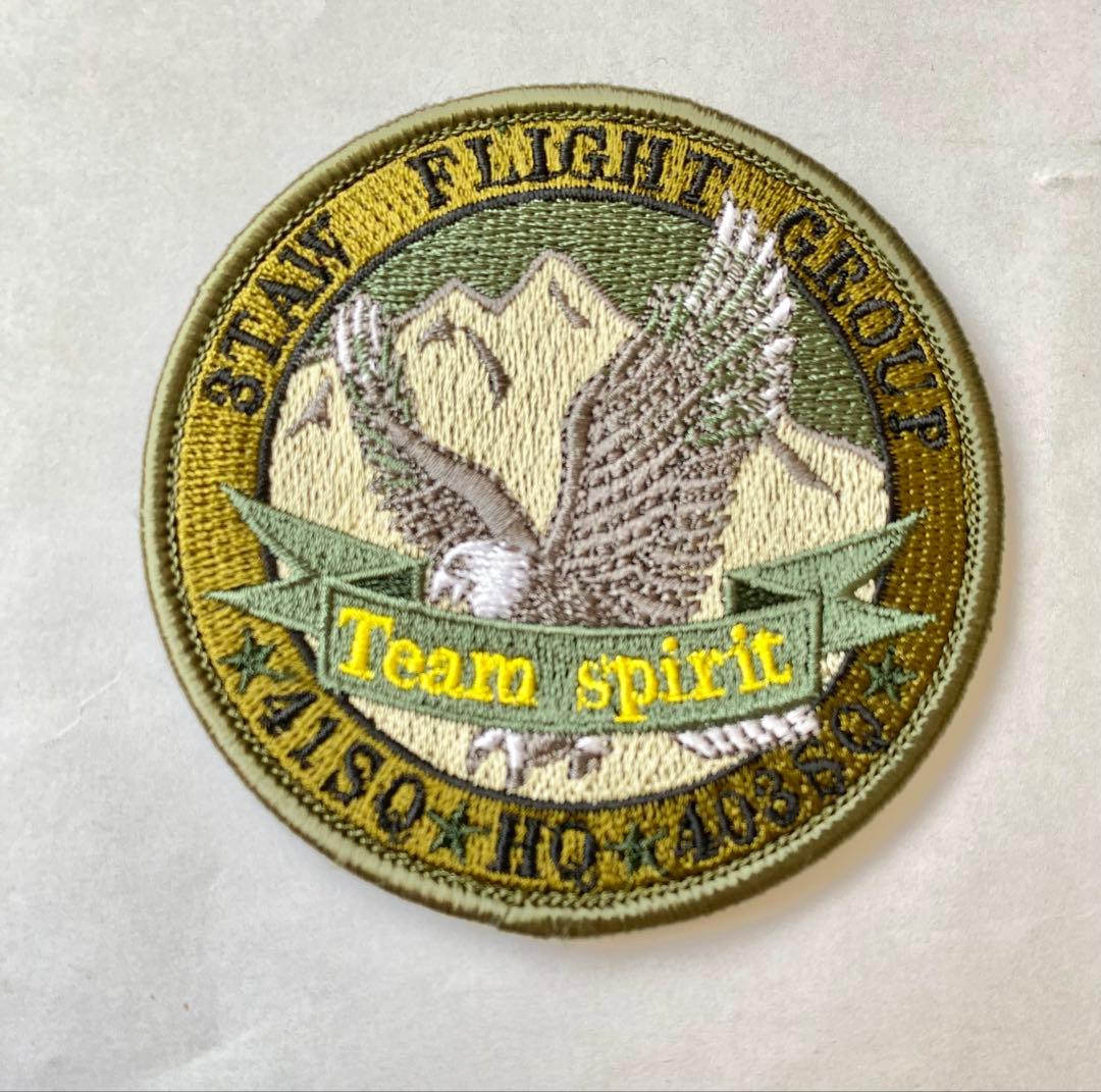 航空自衛隊 美保基地 403SQ ロービジ パッチ