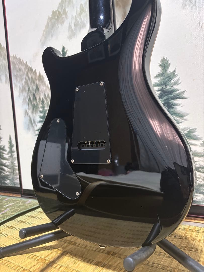 ギター PRS SE Custom24 Whale Blue