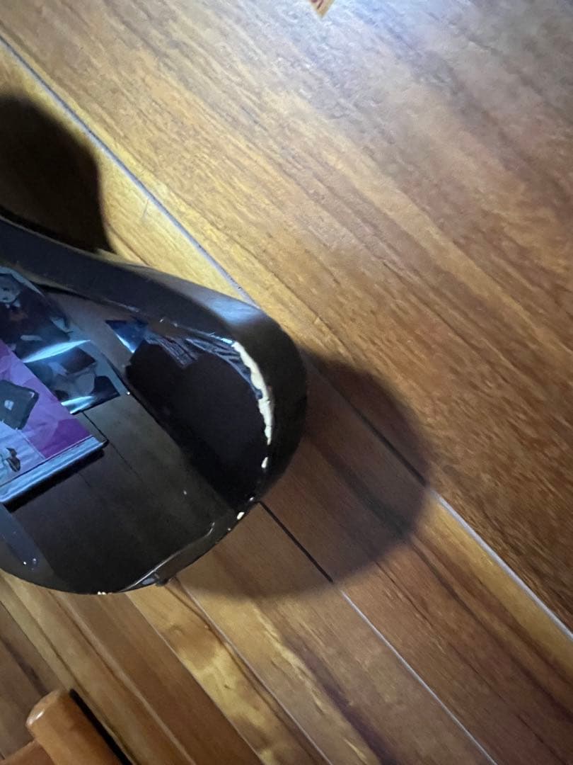 最終値下げ売り切りhideペイント風モッキンバード