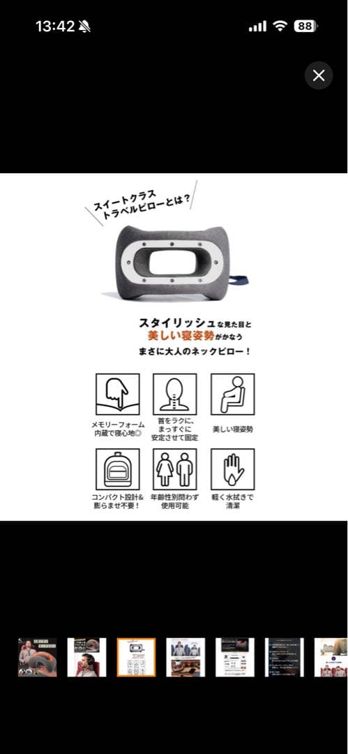 Suite Class Travel Pillow ネックピロー