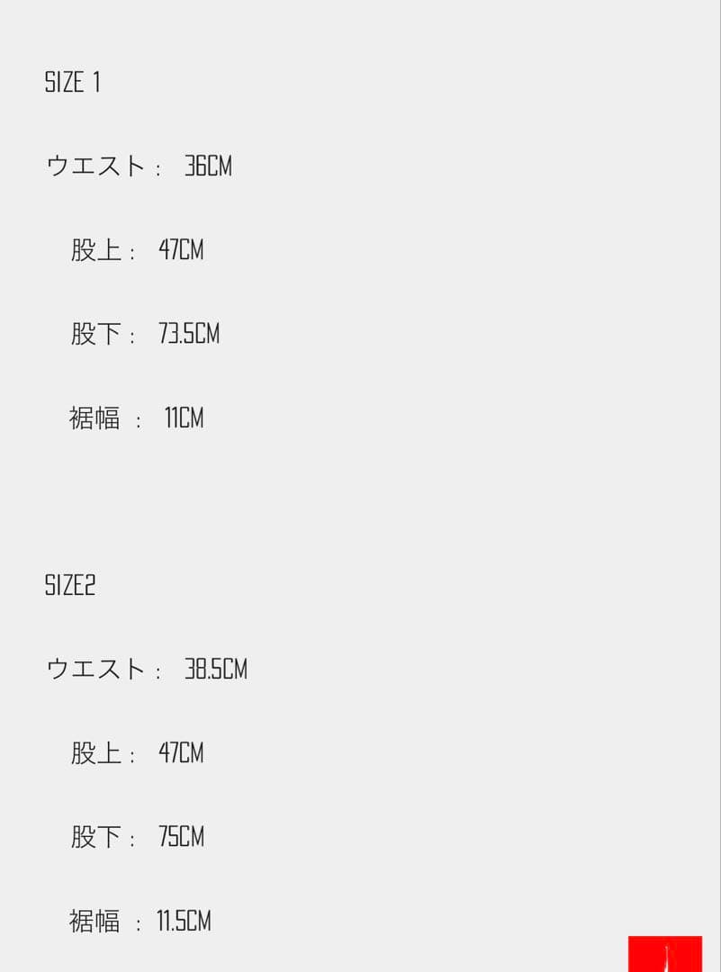 パンツ CTLS | DAMAGED USUAL PANTS \"24