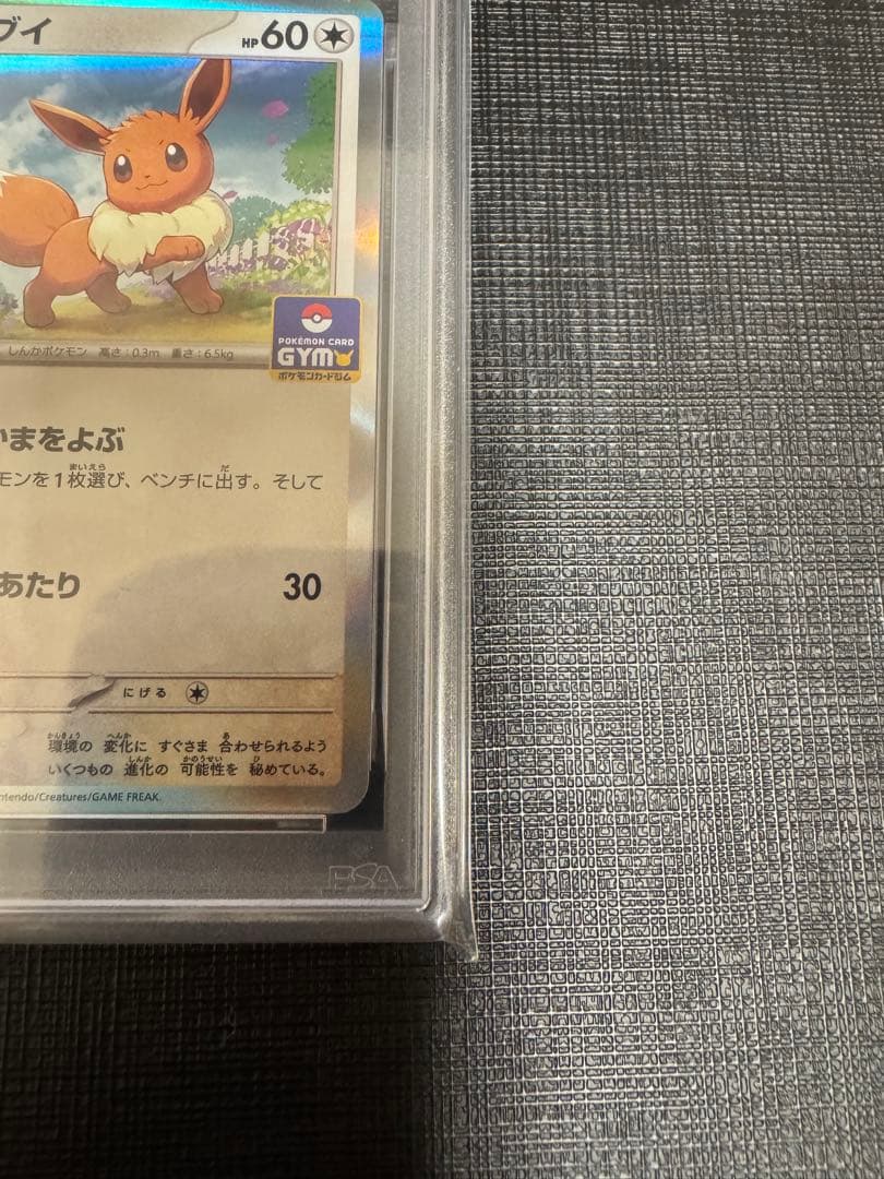 【PSA10】 デッキそのままバトル　イーブイゲットだぜ　プロモ