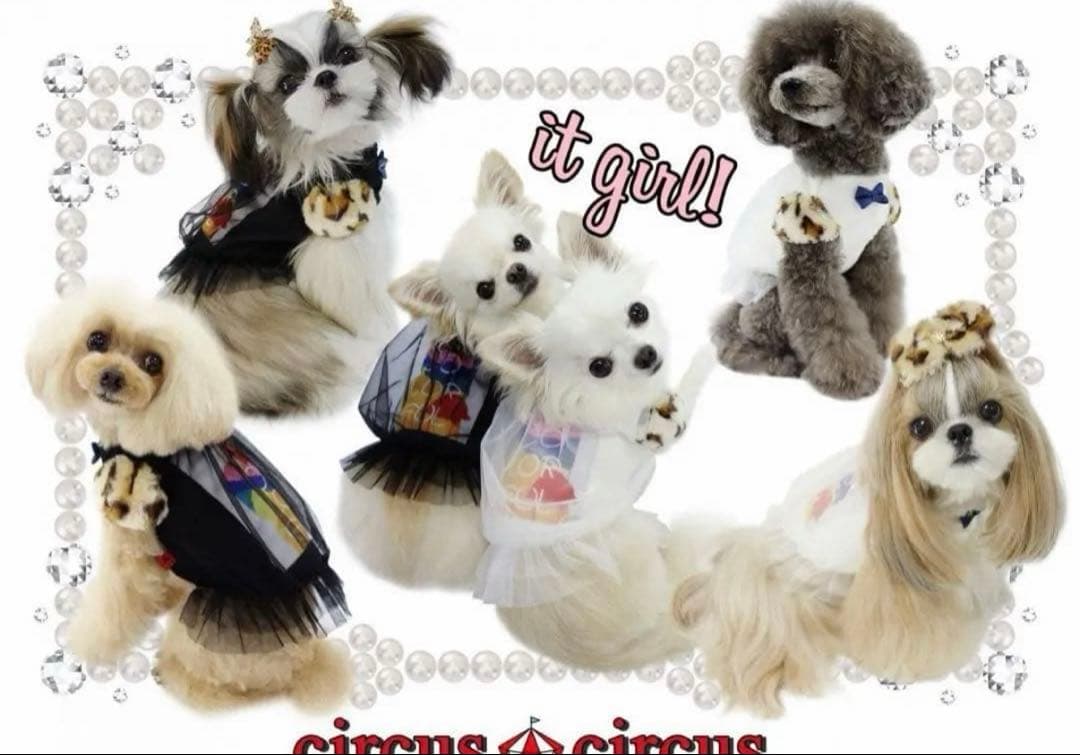 CIRCUSCIRCUSセット 犬服