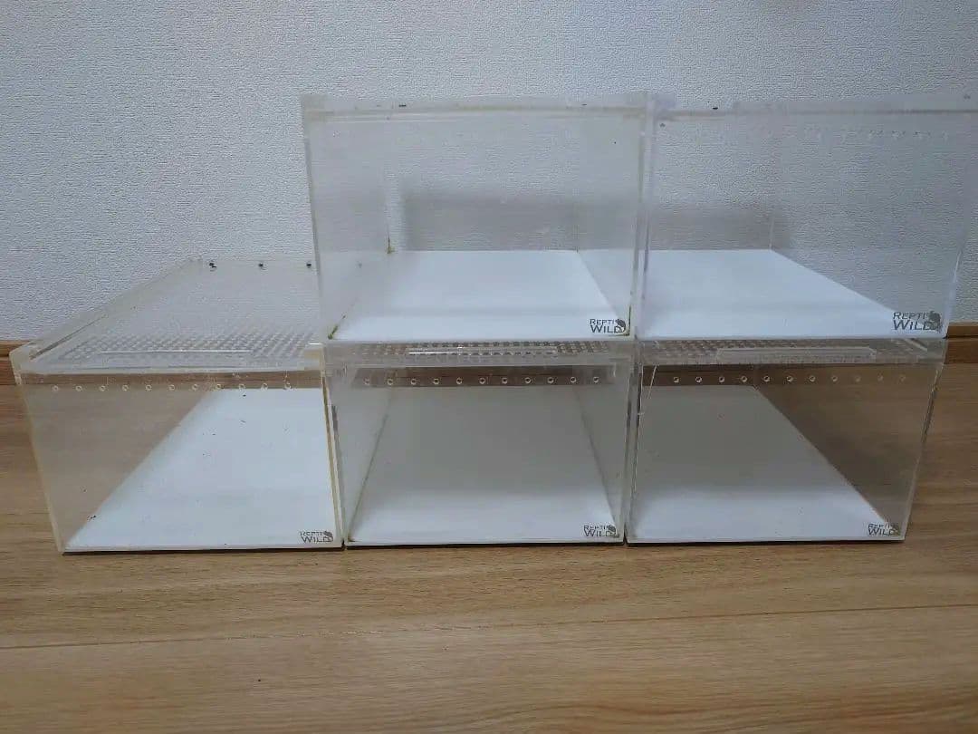 三晃商会 レプタイルボックス5個セット