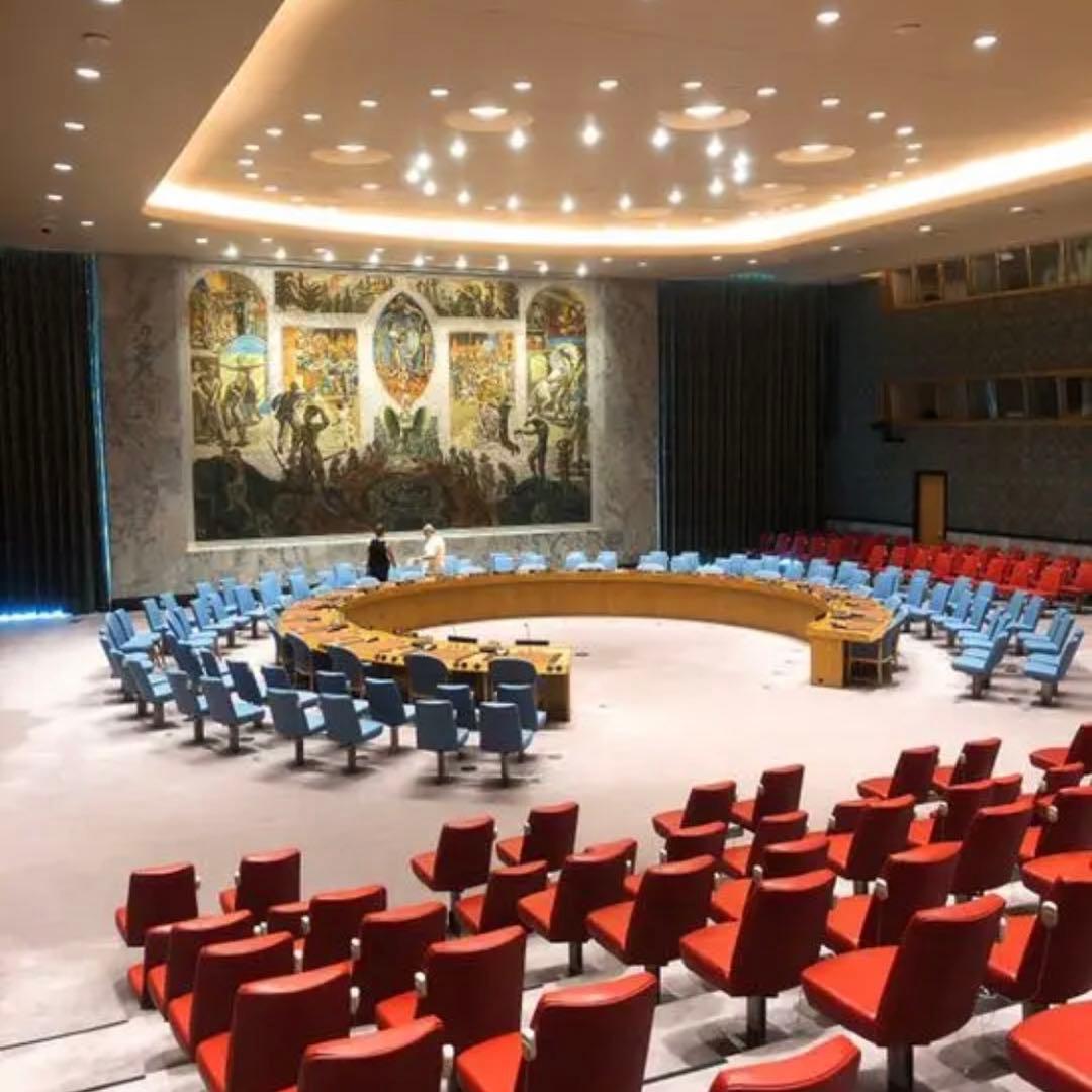 【特別提供品】SDGs  ピンバッジ　10点　新品未使用　【国連本部入手品】