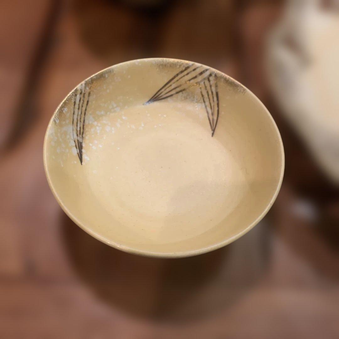 有田焼　天狗谷窯　天麩羅皿　とんすい　20客