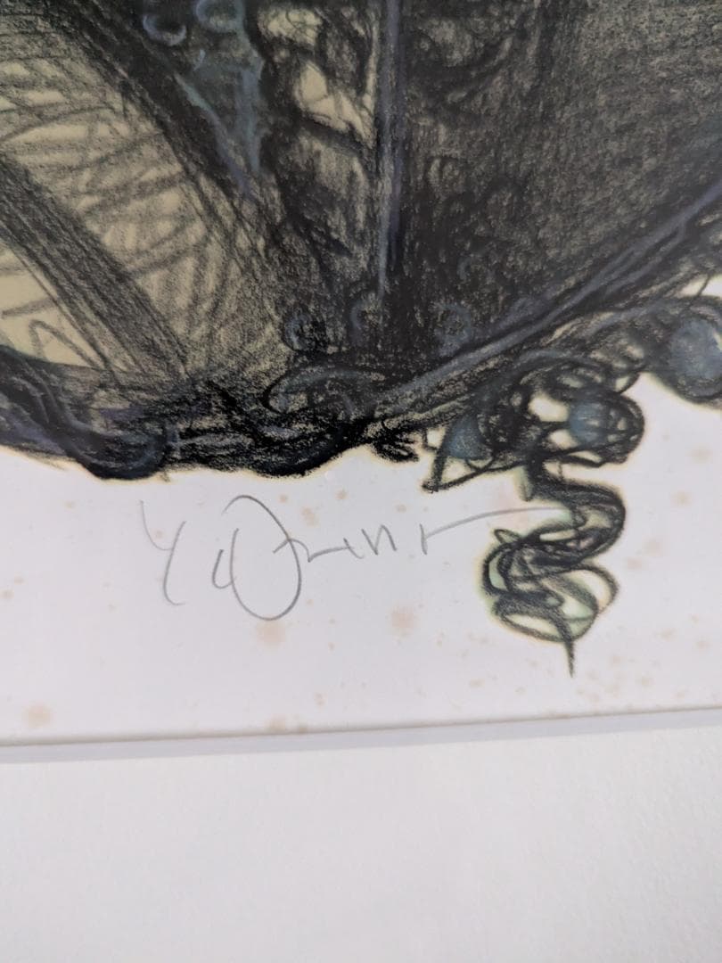 天野喜孝 【葡萄】 リトグラフ　限定200枚　直筆サイン