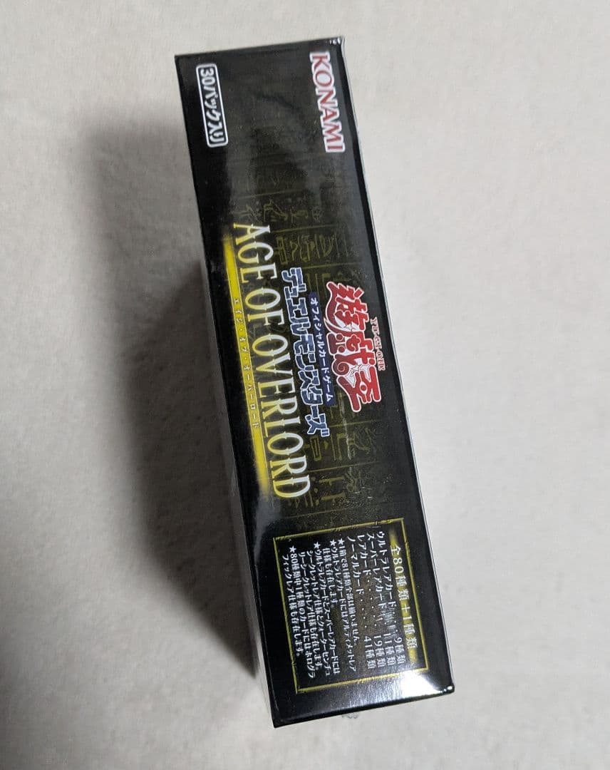 エイジオブオーバーロード　クォーターセンチュリークロニクル Side：UNITY