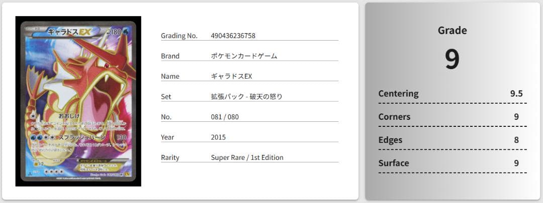 【Gemix鑑定品】ギャラドスEX SR XY9 破天の怒り 081/080