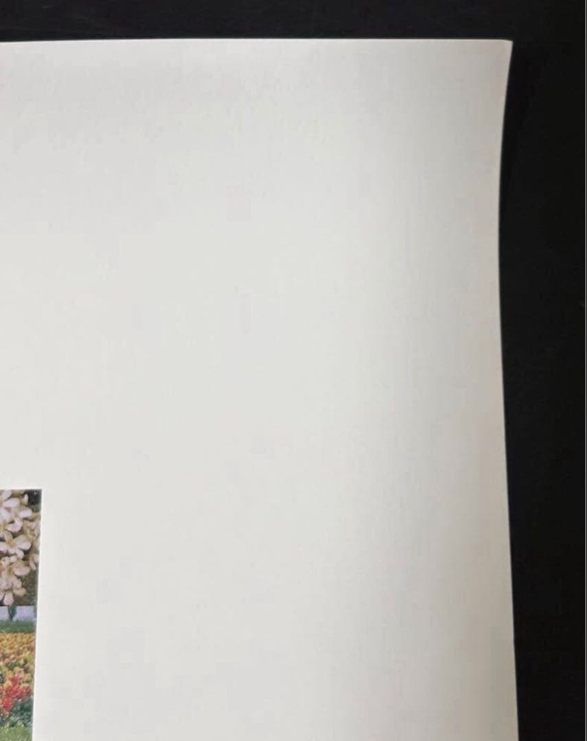 ダイアナ妃 Diana Princess of Wales イギリス王室