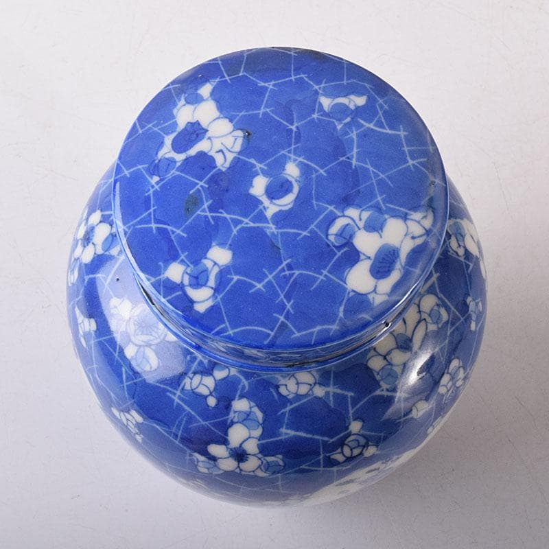 煎茶道具　瀬戸焼　古瀬戸　染付　扇窓絵花文　茶壷　茶心壷　V　R8235