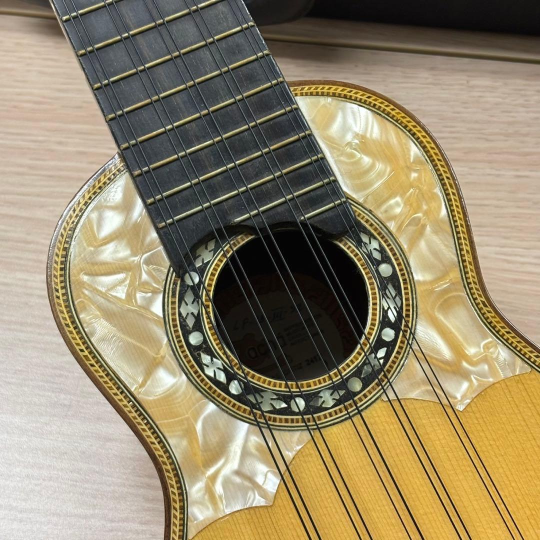 Acha アチャ チャランゴ ボリビア 弦楽器 ハードケース付き