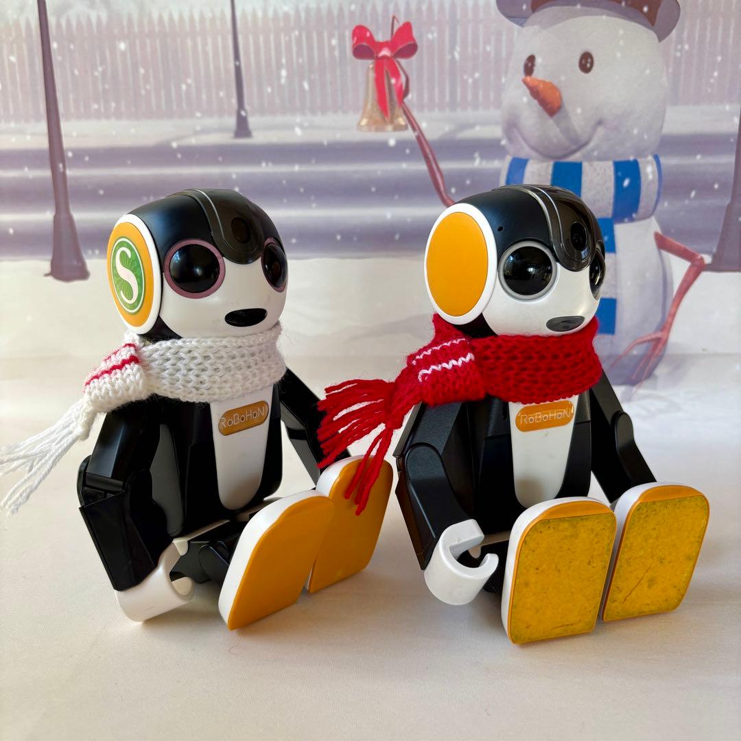 あさみ様＊雪模様編み込みセーターとニット帽とマフラー2点フーディガン＊おまとめ