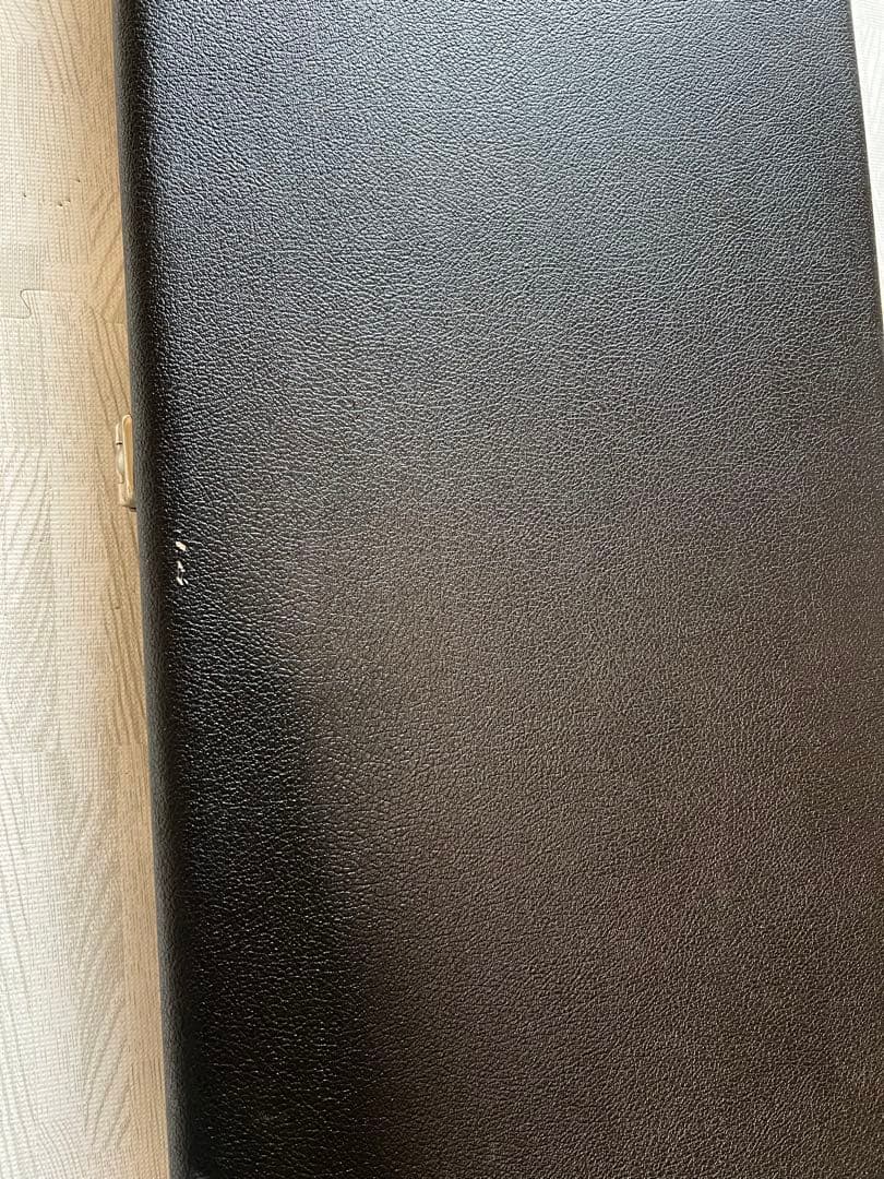 た*な様 レア PRS 純正ハードケース 検 McCarty594 SC Les