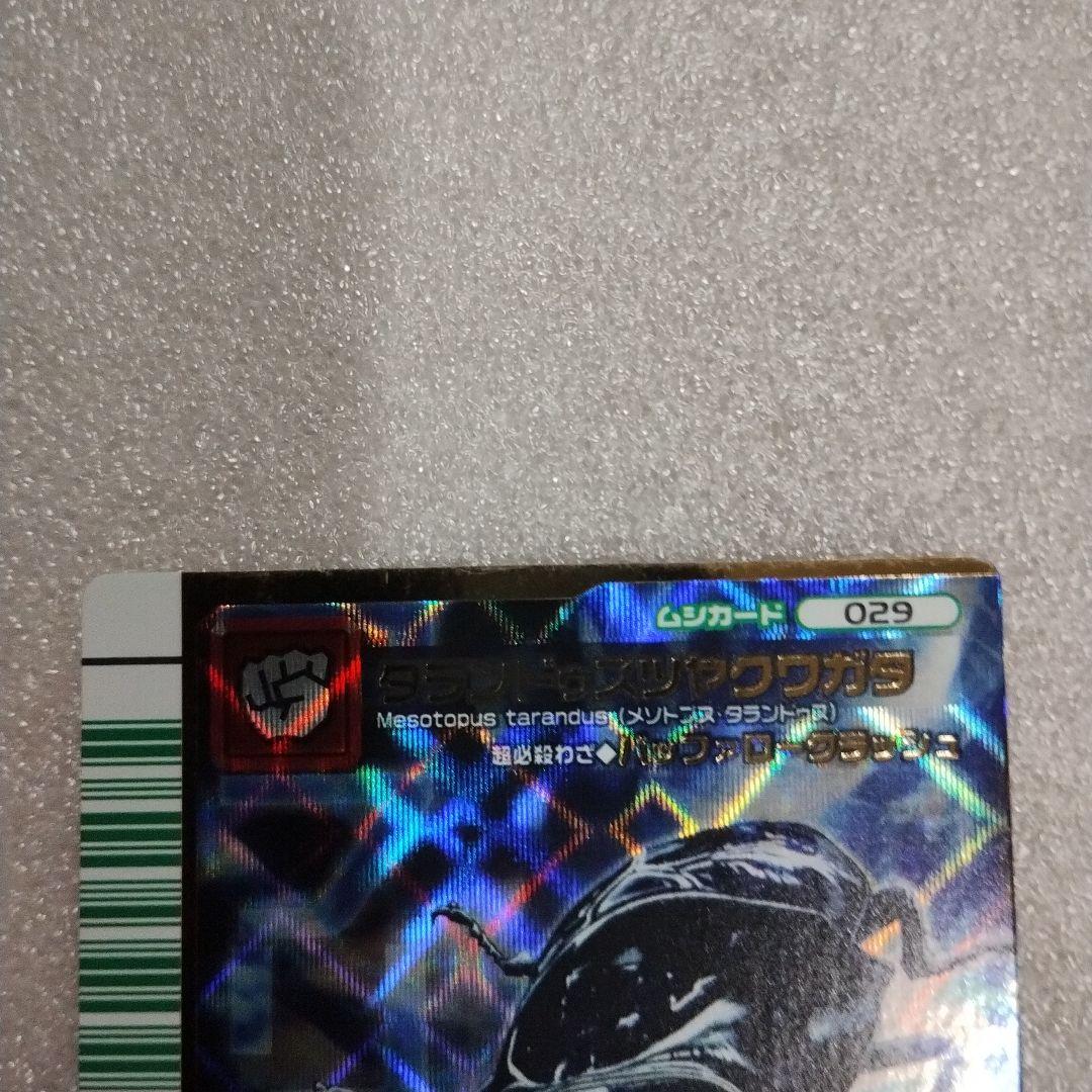 タランドゥス・スリアカブト トレーディングカード
