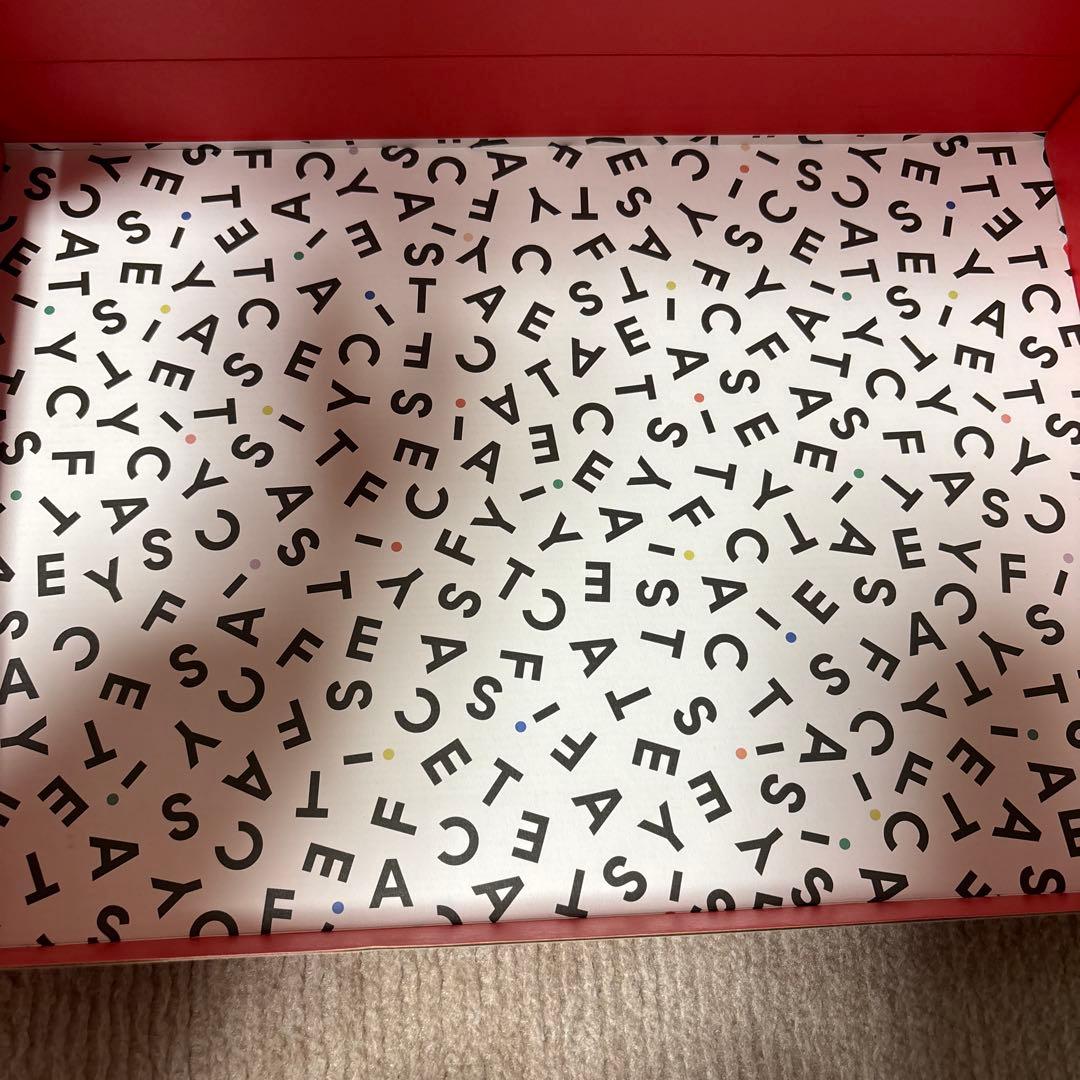 CASETiFY iPad Pro13インチカバー