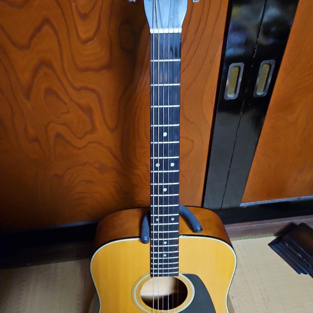 Morris アコースティックギター ドレッドノートMD501japan