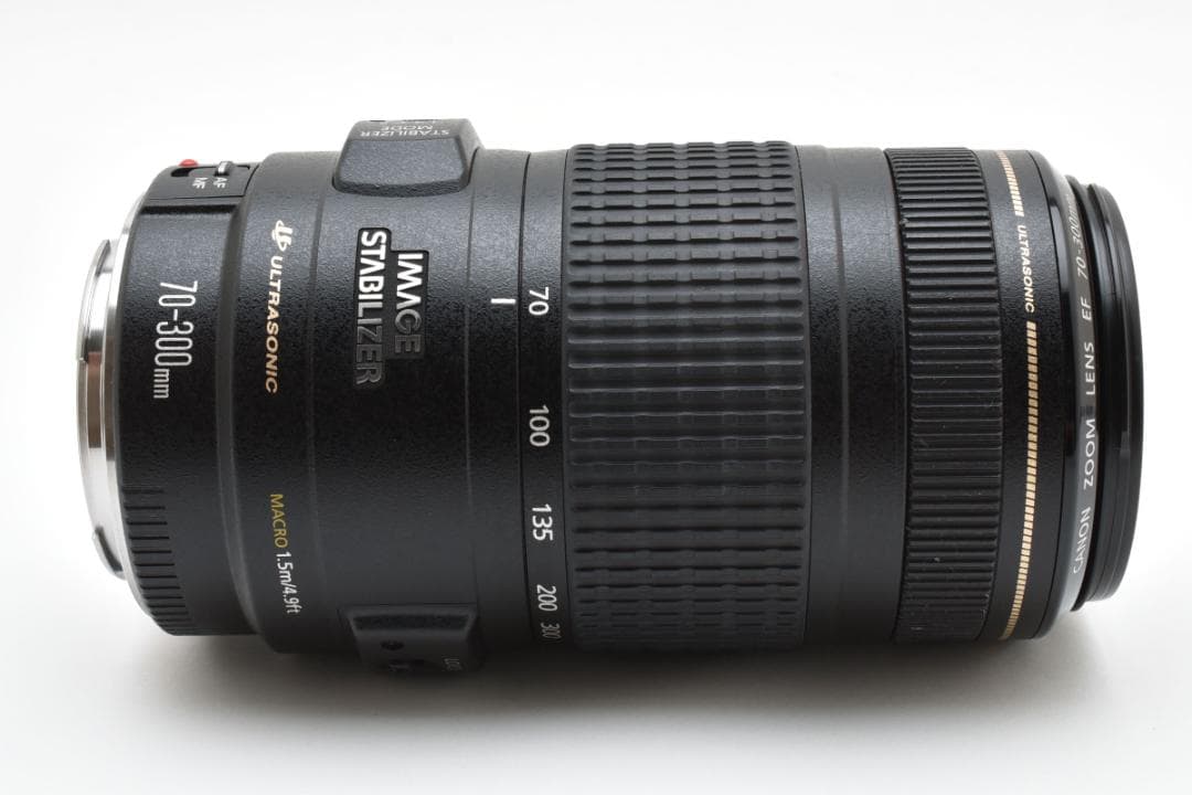 Canon EF 70-300mm F4-5.6 IS USM 望遠レンズ