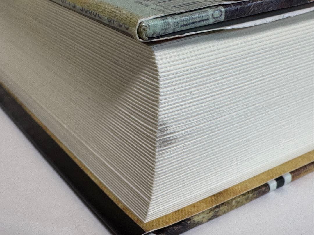 紙葉の家 マーク・Z・ダニエルウスキー著