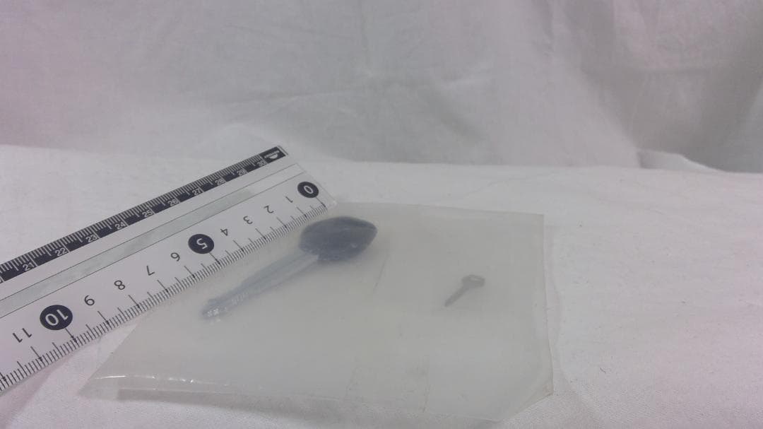 スズキ隼1／4ディアゴスティー二組立品