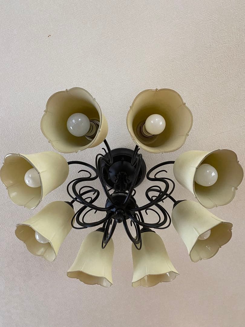 オーデリック8灯シャンデリア クリーム色 フラワー型