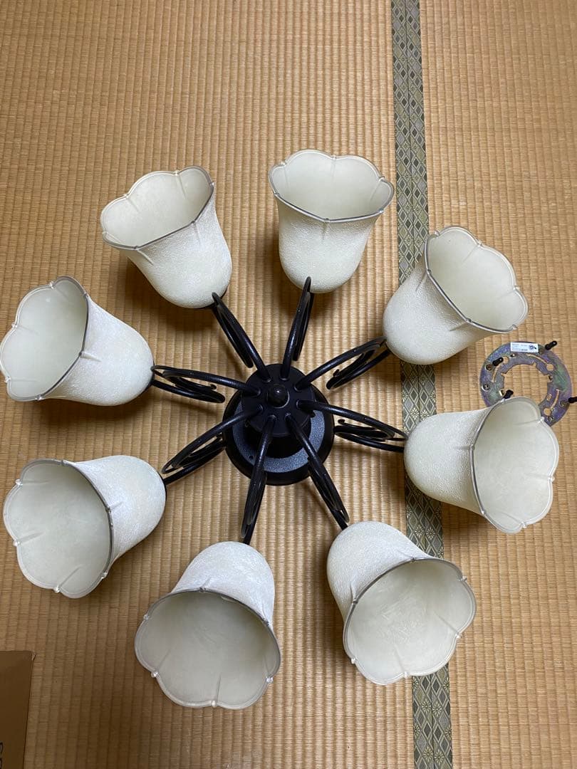 オーデリック8灯シャンデリア クリーム色 フラワー型