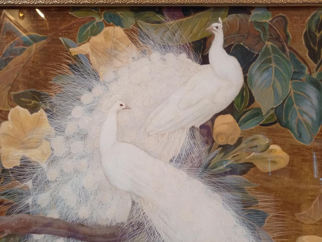 白孔雀 黄花 クジャク アートポスター 額付き フレーム付 アメリカ