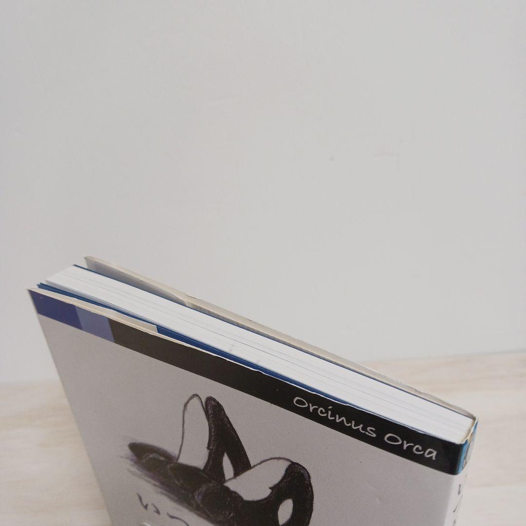 いつか、オルカ