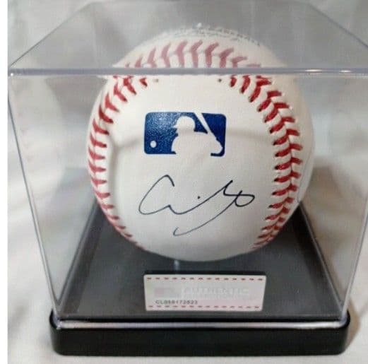 LAドジャース 大谷翔平 佐々木朗希 山本由伸 直筆サインボール /ケースあり