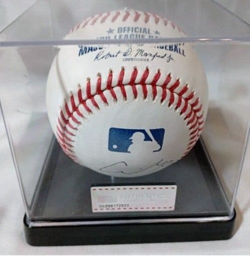 LAドジャース 大谷翔平 佐々木朗希 山本由伸 直筆サインボール /ケースあり