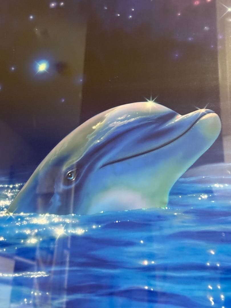 クリスチャン　ラッセン　スターリーアイズL 直筆彩色あり　直筆サイン　イルカ　海