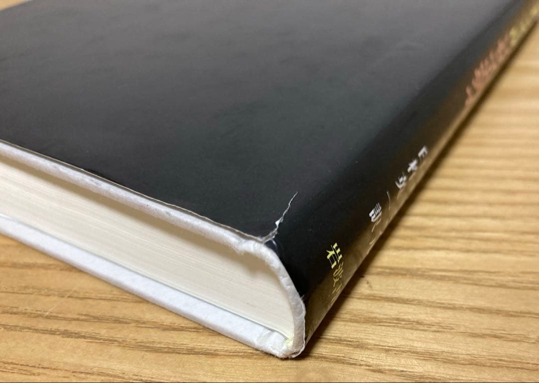 国際社会論 アナーキカル・ソサイエティ