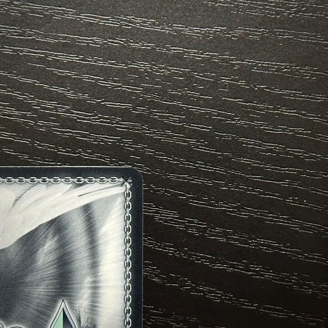 WS フリードリヒデアグローセ SEC サイン